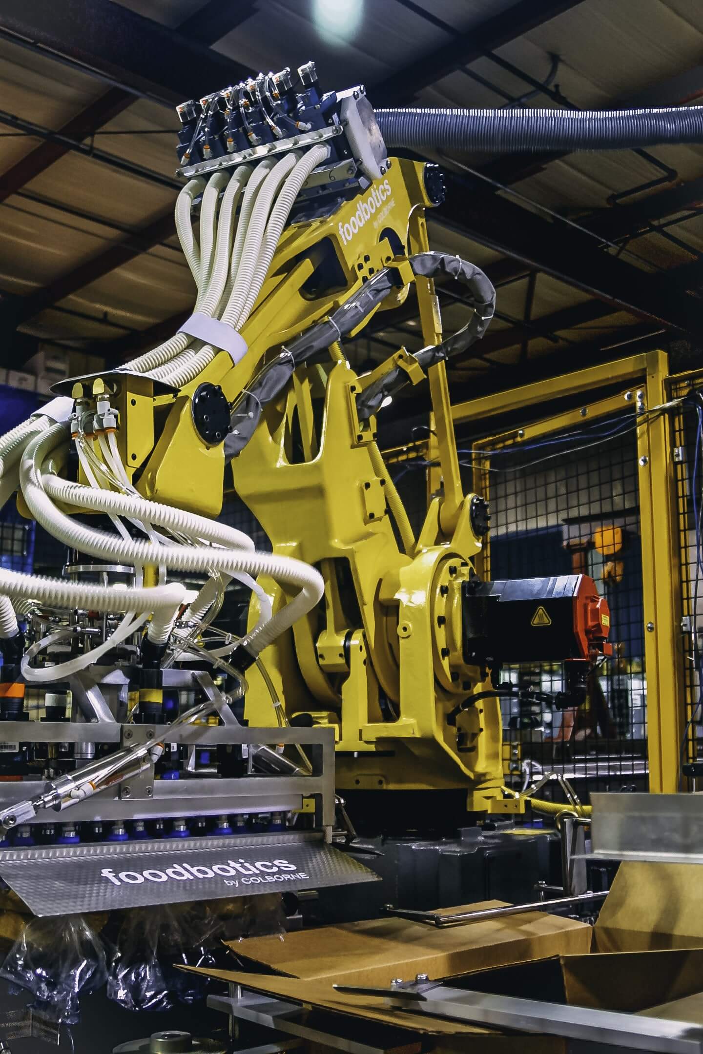 Foodbotics Robotic Automation